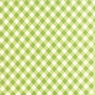 Vintage Picnic Check in Light Green by Bonnie & Camille for Moda Fabrics