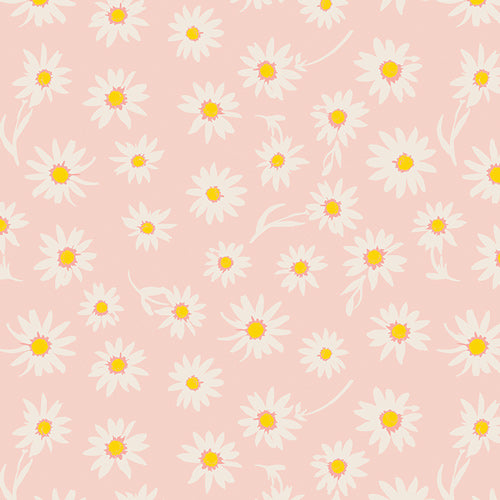 Flower Morning Glory in Morning