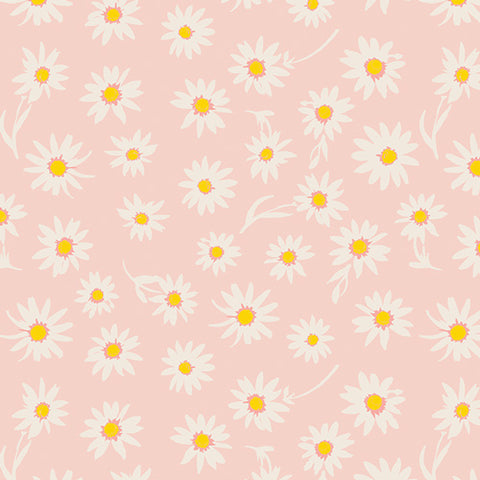 Flower Morning Glory in Morning