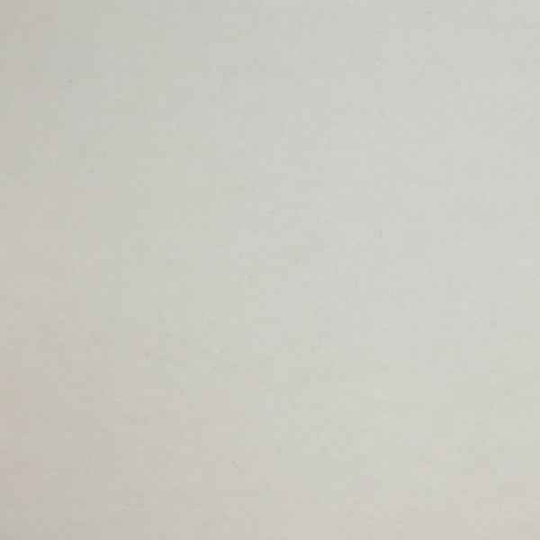 Wool Felt in Silver Grey