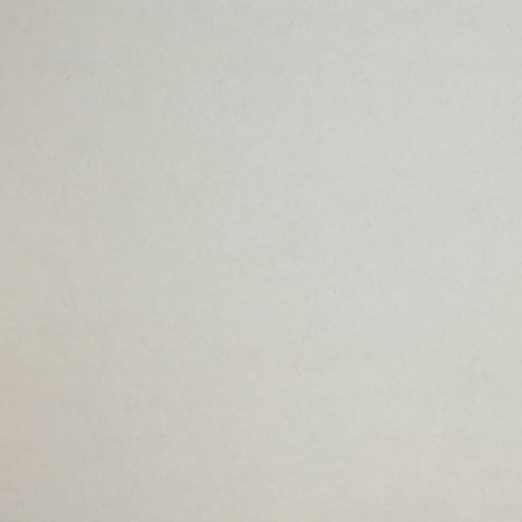 Wool Felt in Silver Grey