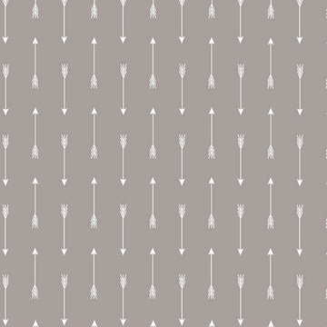 Arrows on Gray by Simple Simon & Company for Riley Blake Designs