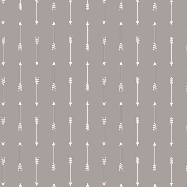 Arrows on Gray by Simple Simon & Company for Riley Blake Designs