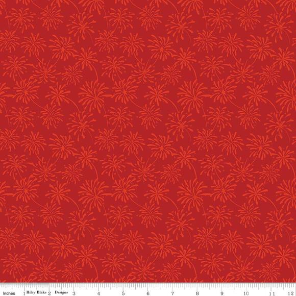 Celebrate America Fireworks Red