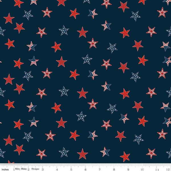 Celebrate America Large Stars Navy