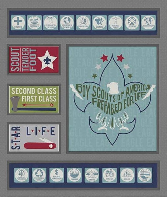 Modern Scouting Panel in Gray by Riley Blake Designs - Bunbury Fabrics